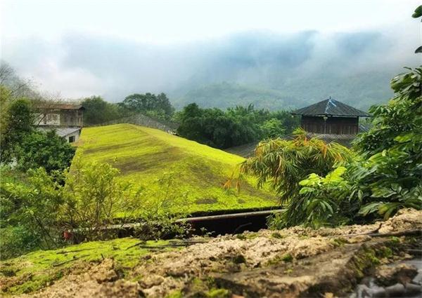 蝉躁林逾静，鸟鸣山更幽|九州驿站带你远离喧闹，寻求宁静