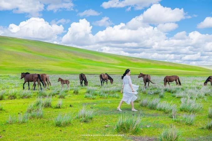 元上天地蒙元文化景区，中国最美的草原，“绿”进心坎里！